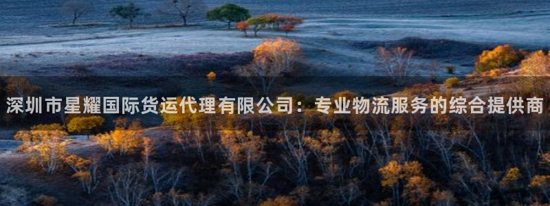 幸运彩：深圳市星耀国际货运代理有限公司：专业物流服务的综合提供商