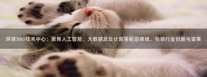 幸运彩welcome官网：环球360技术中心：聚焦人工智能、大数据及云计算等前沿领域，引领行业创新与变革