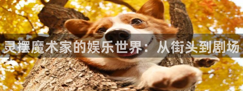 幸运彩app官网入口：灵摆魔术家的娱乐世界：从街头到剧场