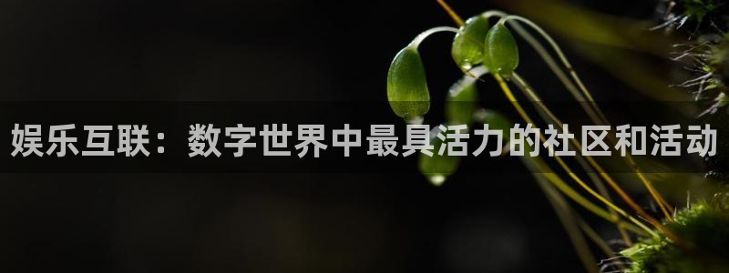 幸运彩仙：娱乐互联：数字世界中最具活力的社区和活动