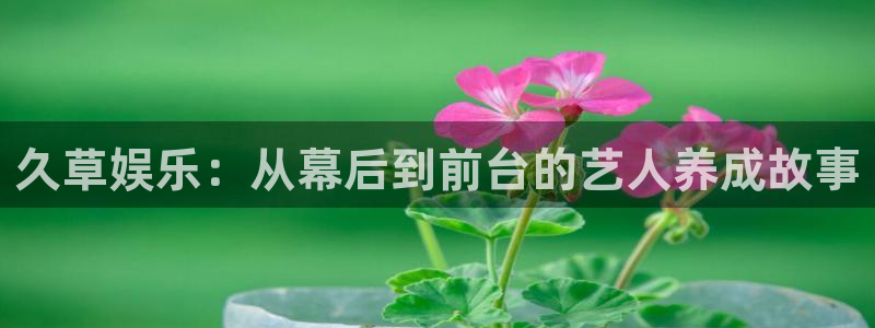 幸运彩平台网址：久草娱乐：从幕后到前台的艺人养成故事