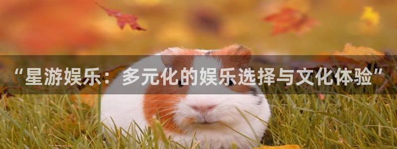 幸运彩官网是真的吗：“星游娱乐：多元化的娱乐选择与文化体验”
