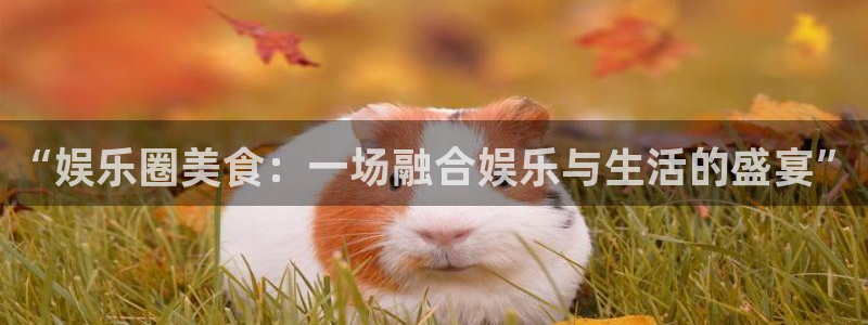 幸运彩网：“娱乐圈美食：一场融合娱乐与生活的盛宴”