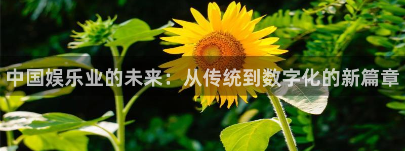 幸运彩平台网址：中国娱乐业的未来：从传统到数字化的新篇章