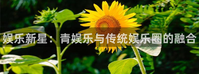 幸运彩com：娱乐新星：青娱乐与传统娱乐圈的融合