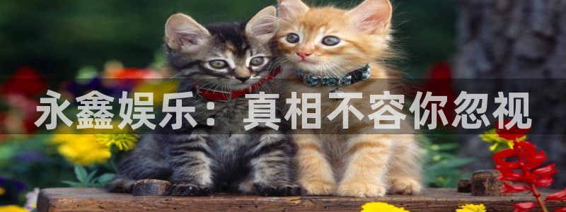 幸运彩welcome官网入口app：永鑫娱乐：真相不容你忽视