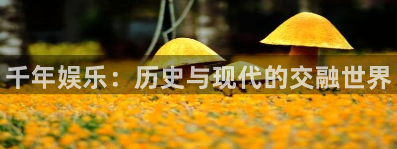 幸运彩官网：千年娱乐：历史与现代的交融世界